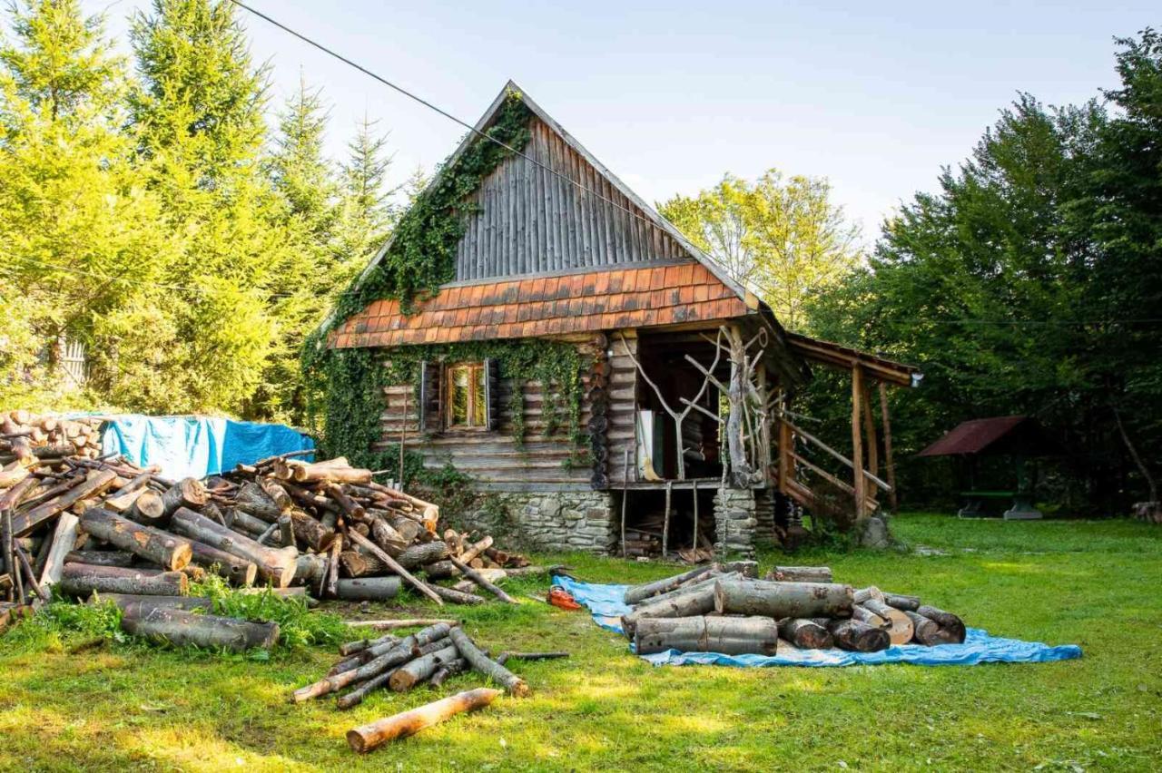 ルムショーリ Хатина Біля Потокаヴィラ エクステリア 写真