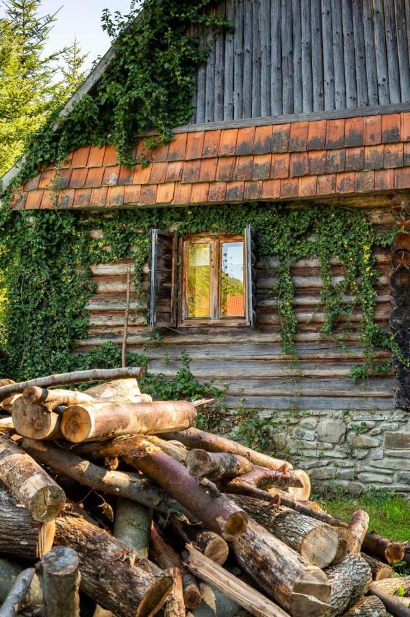 ルムショーリ Хатина Біля Потокаヴィラ エクステリア 写真
