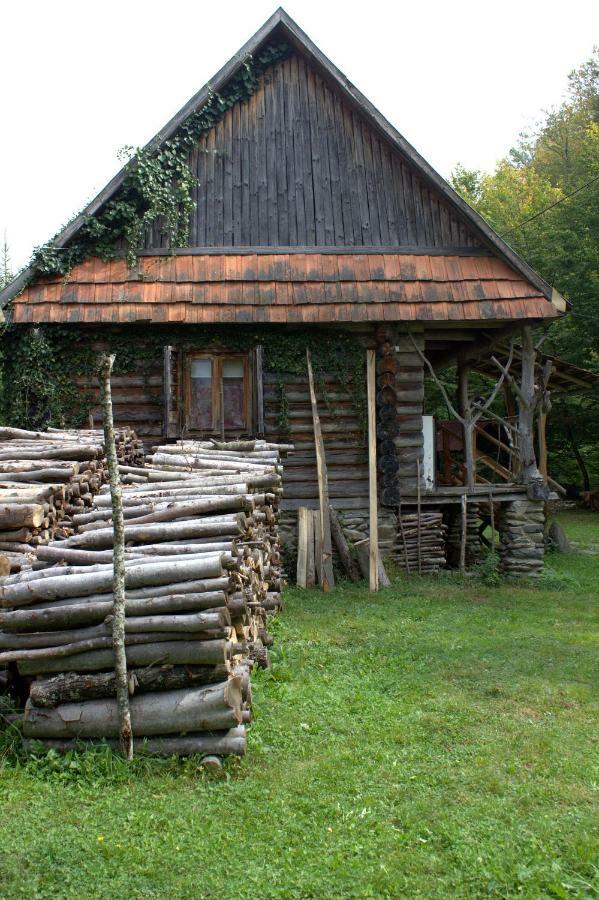 ルムショーリ Хатина Біля Потокаヴィラ エクステリア 写真